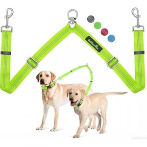 Brilliant Paw Double Dog Leash, Tangle Free & Adjustable, Reflective, Durable Nylon, Green, 1