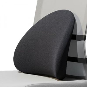 MXPOLY Lumbar Support Pillow for Office Chair and Car with All-Season Adaptive Memory Foam, Ergonomic…