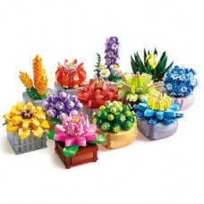 Succulents Set for Adults Building Sets, 12 Plants, Home Decor, Birthday Gifts for Women, Creative Housewa…