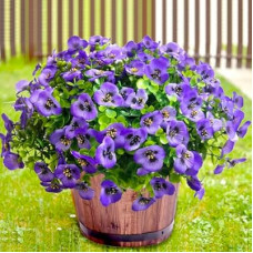 Thinktral Artificial Flowers for Outdoors Fake Plants, 12pcs Fake Flowers Artificial Plants Outdoor U…