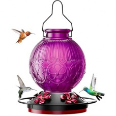 26Oz Hummingbird Feeder for Outdoors, Vintage Glass Bird Feeder with Perch, Durable & Easy to Clean…