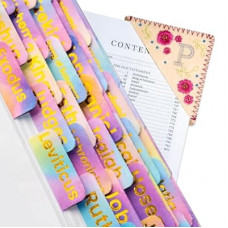 Bible Tabs with Bookmark, Gold Foil Laminated Bible Tabs, Bible Tabs for Women & Men, Christian Gifts, Larg…