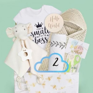 8Pcs Gender Reveal Gifts, for Newborn Boys, Baby Boy Gift Basket for First Time Expecting Parents to…