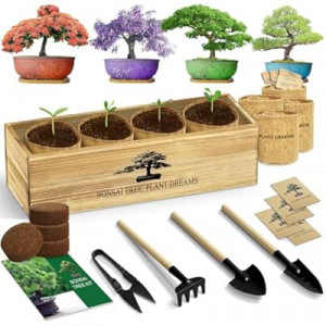 LUOJIBIE Bonsai Tree Kit, Complete Bonzai Tree Starter Kits with Tools, Valentines Day Gifts for Her Him, U…