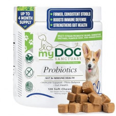 My Dog Sanctuary Probiotics for Dogs 120 Chews - Digestive Enzymes & Gut Health Support with Pumpkin Seed…