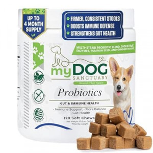 My Dog Sanctuary Probiotics for Dogs 120 Chews - Digestive Enzymes & Gut Health Support with Pumpkin Seed…