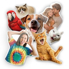 bccpnl Custom Pet & Person Pillow with Photo – Personalized Dog, Cat & Funny Couple Photos, Room Decor,…