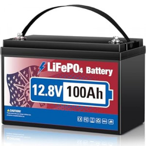 12V 100Ah LiFePO4 Lithium Battery, 15000+ Deep Cycles & 10-Year Lifespan Lithium Iron Phosphate Ba…