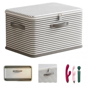 JCL Discreet Lockable Adult Toy Box Storage Organizer with Zipper Lid, 15x10x10 Inch Large Capacity Trav…