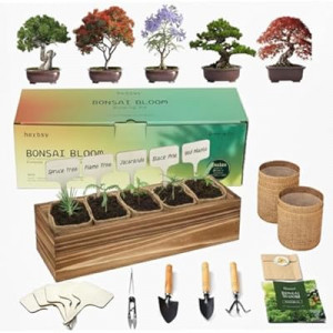 5 Pack Bonsai Tree Kit with Complete Tools, 5X Unique Seeds Bonzai Tree Kits, Indoor Bonsai Starter Kit with…