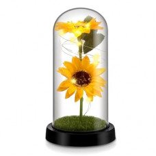 Bignes Galaxy Enchanted Rose Dome with Butterfly Birthday Gift for Woman Mothers Day Flowers Gift f…