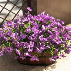 Vemander Artificial Flower for Outdoors Fake Plants,16 PCS Artificial Flowers, Faux UV Resistant…